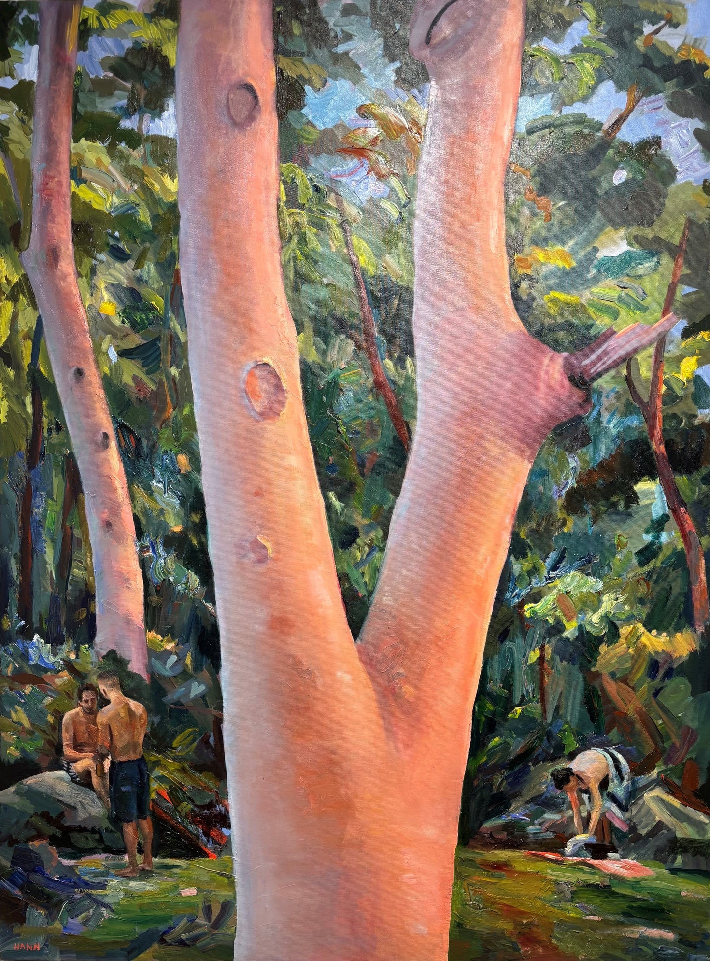 Angophora - Sophie Hann