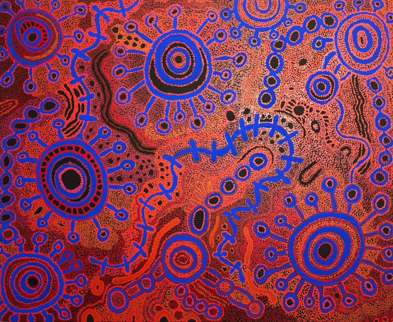 Audrey Brumby, Tjukula Tjuta 239