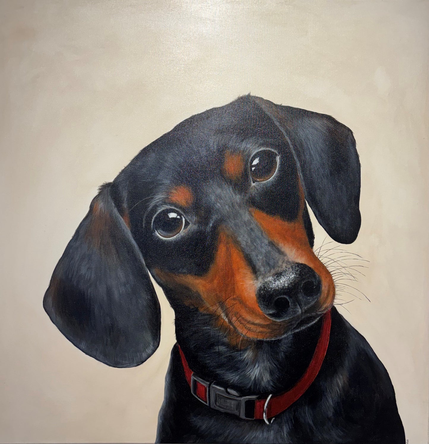 Dachshund