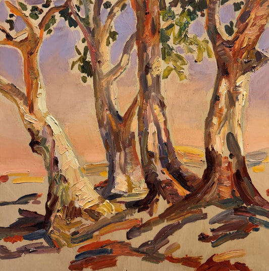 Heysen's Gum - Sophie Hann