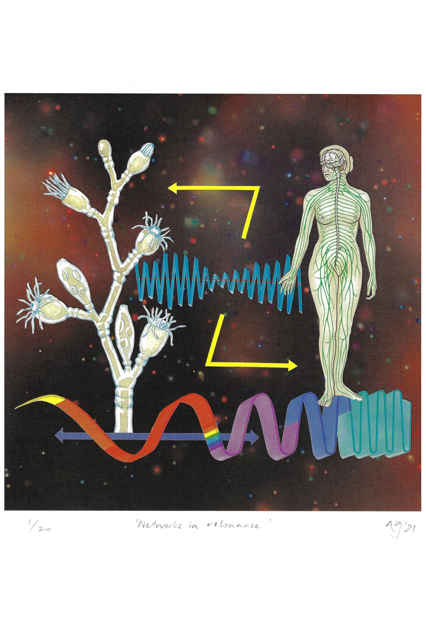 Networks in Resonance - Limited Edition A3 Print by Anna Goodhind