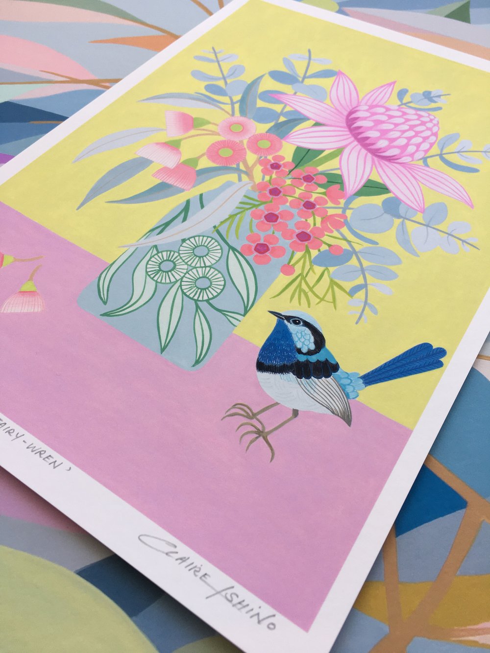 Superb Fairy-Wren - Limited Edition Print