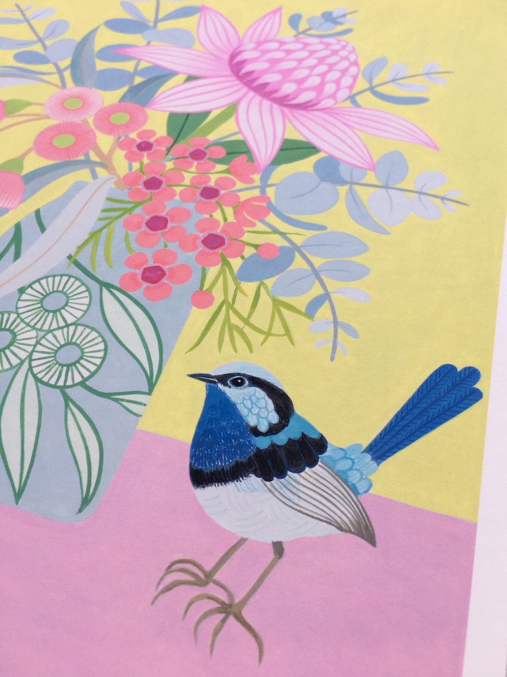 Superb Fairy-Wren - Limited Edition Print