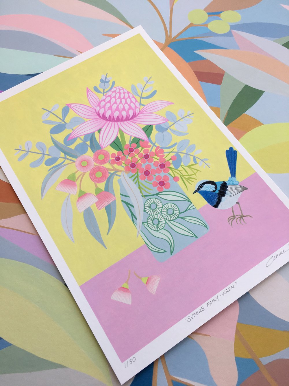 Superb Fairy-Wren - Limited Edition Print