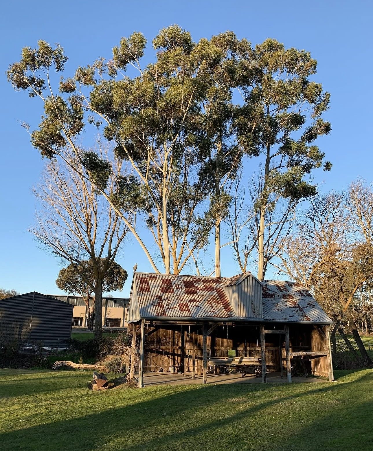 Draw Hahndorf En Plein Air with Artist Lauren Kathleen