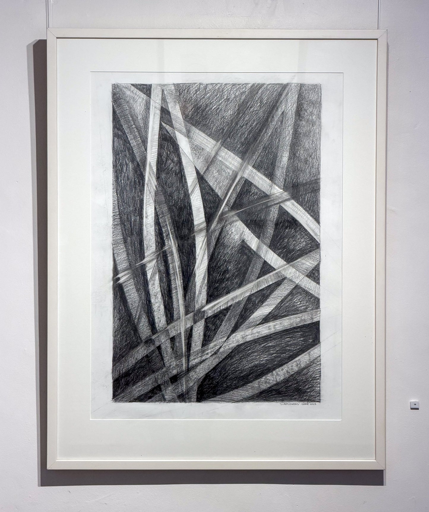 Quentin Gore - Sunflowers (Drawing)