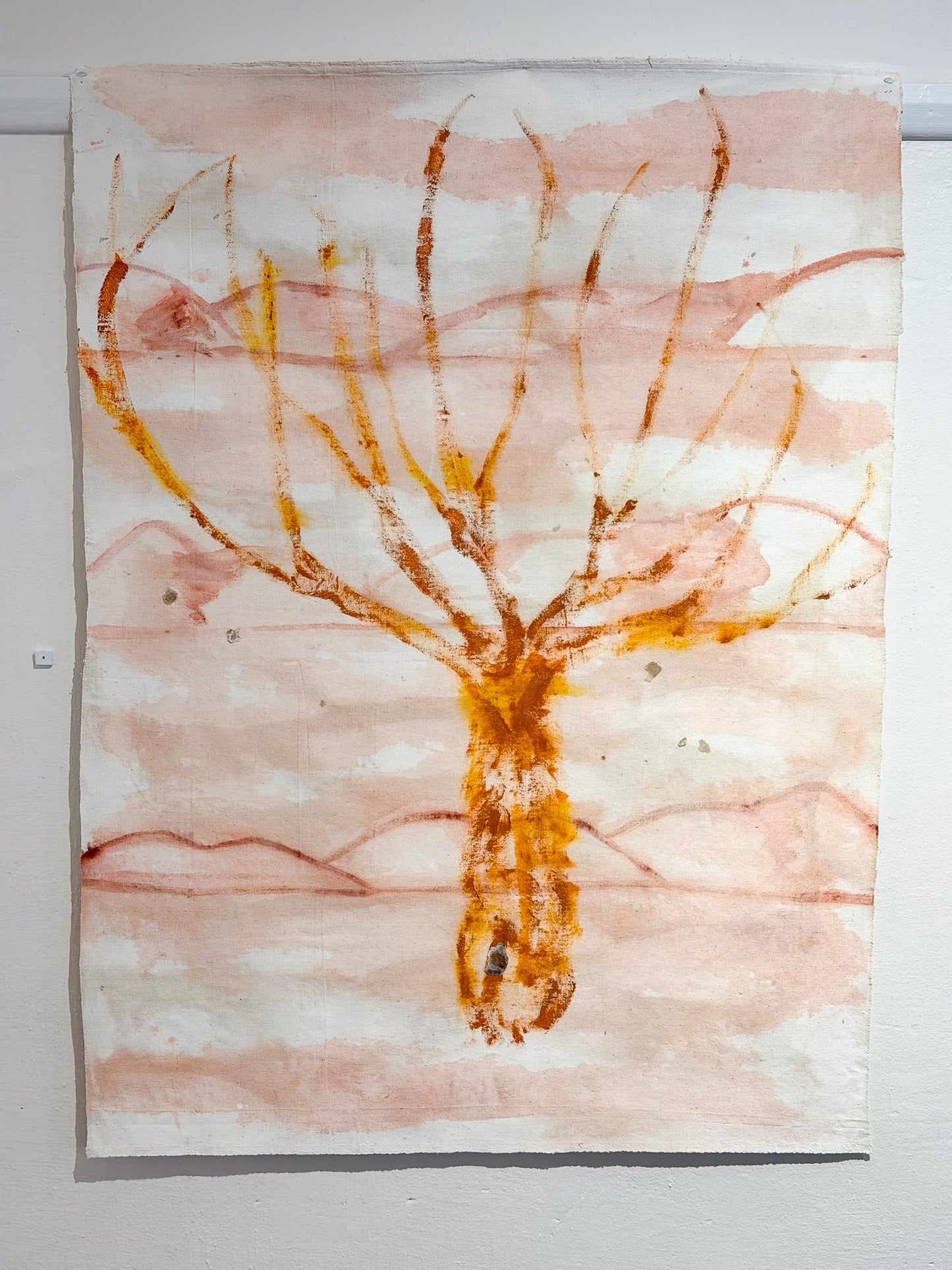 Stephanie Radok - For Dignity