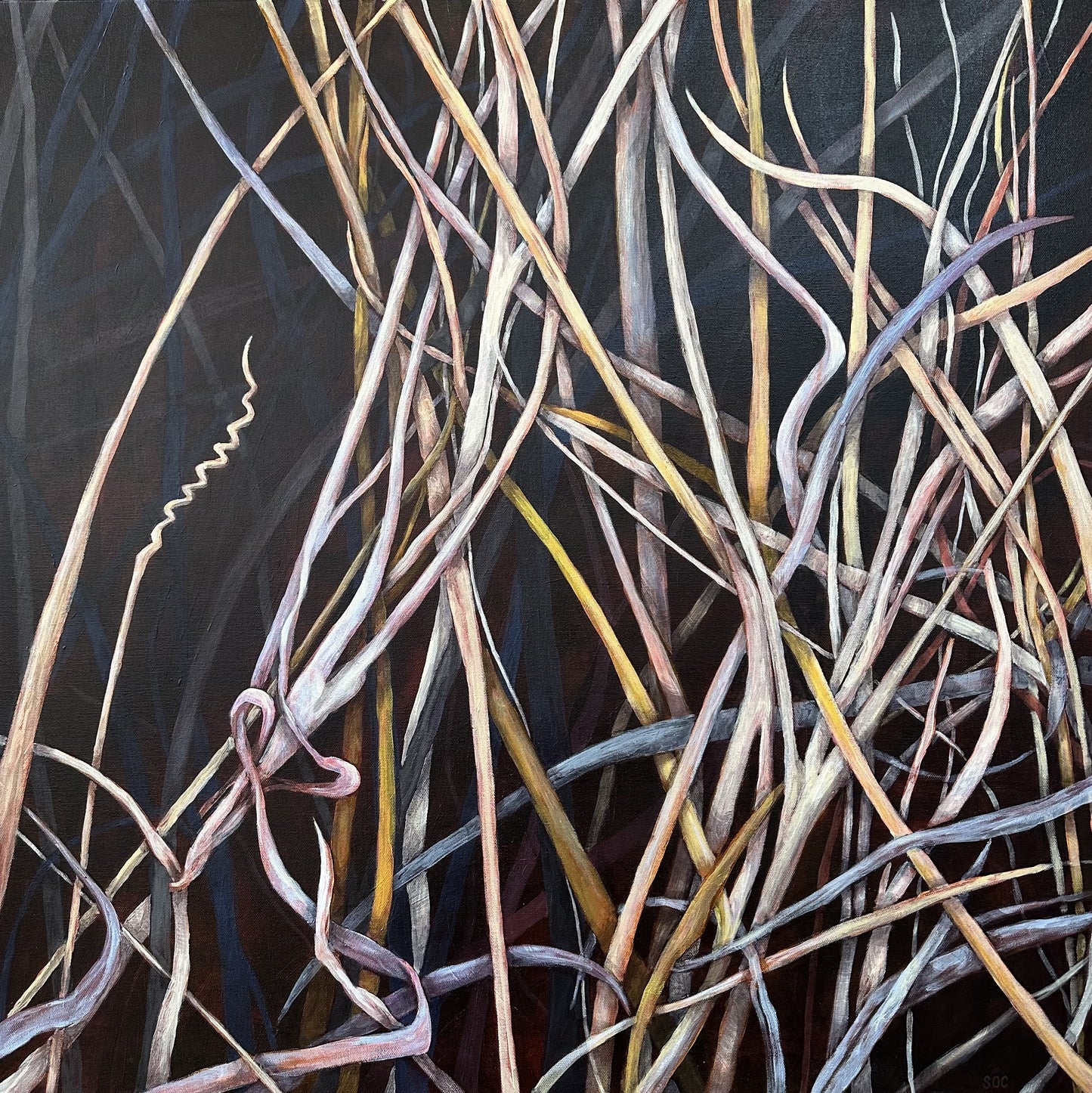 Karlu Grasses - Sandy O'Callaghan