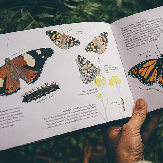 Where Birds Sing and Wildflowers Dance by Jason Tyndall