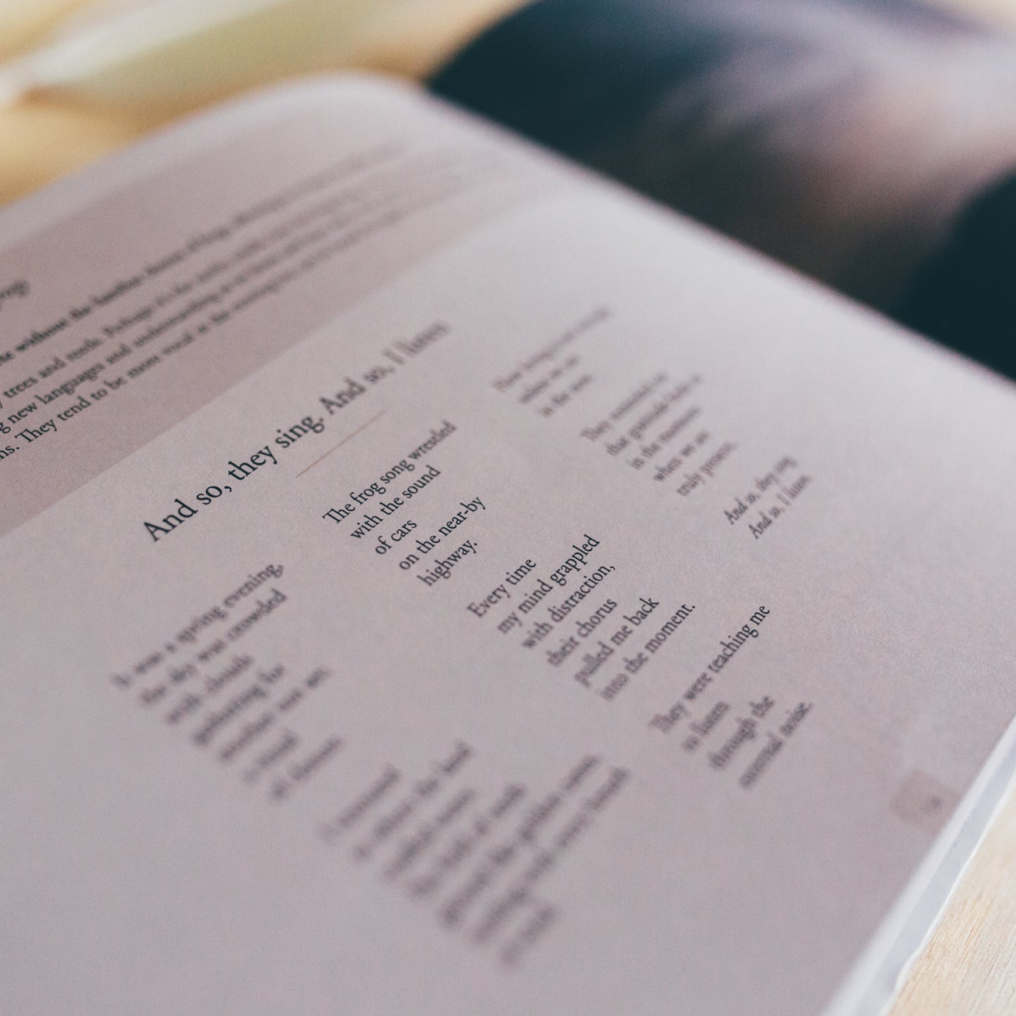 Where Birds Sing and Wildflowers Dance by Jason Tyndall
