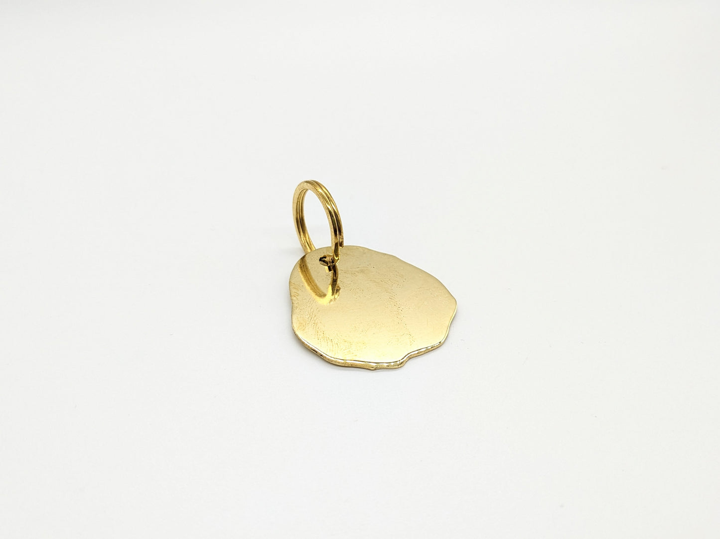 Brass Dog Tag/Keychain