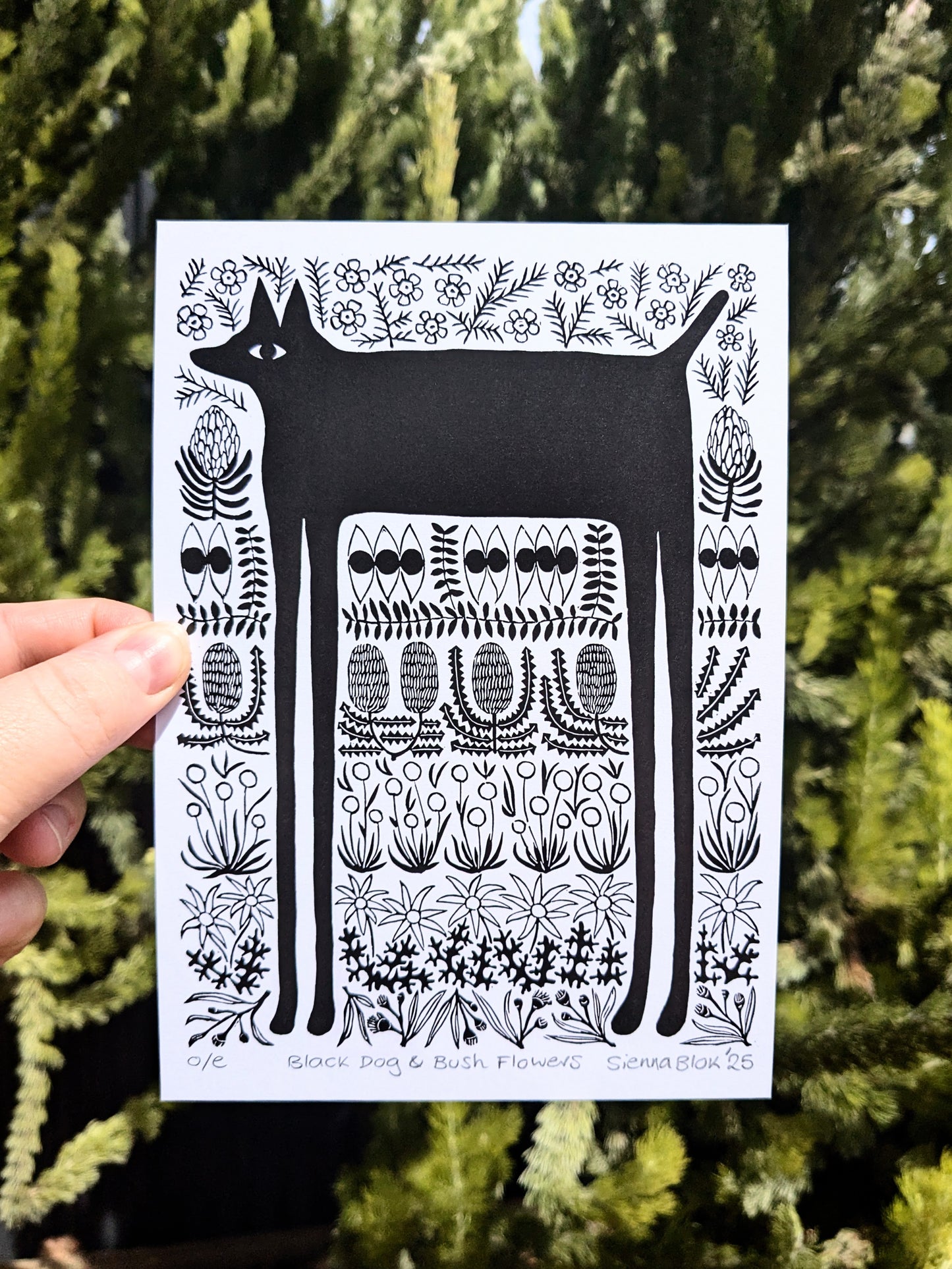 Black Dog & Bush Flowers - Digital Print