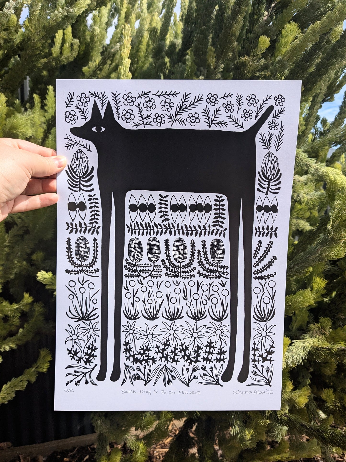 Black Dog & Bush Flowers - Digital Print
