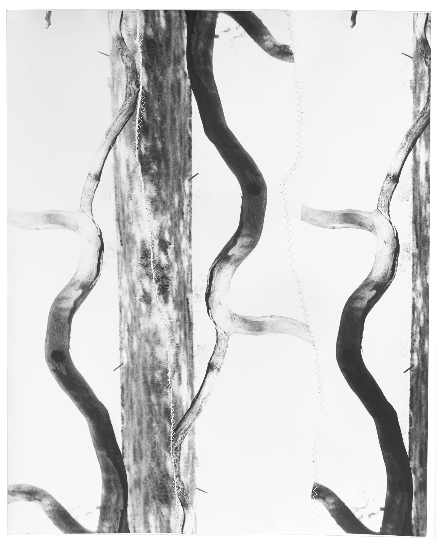 Asher Milgate - STRETCH OUT YOUR HAND TO HEAL AND PERFORM SIGNS AND WONDERS