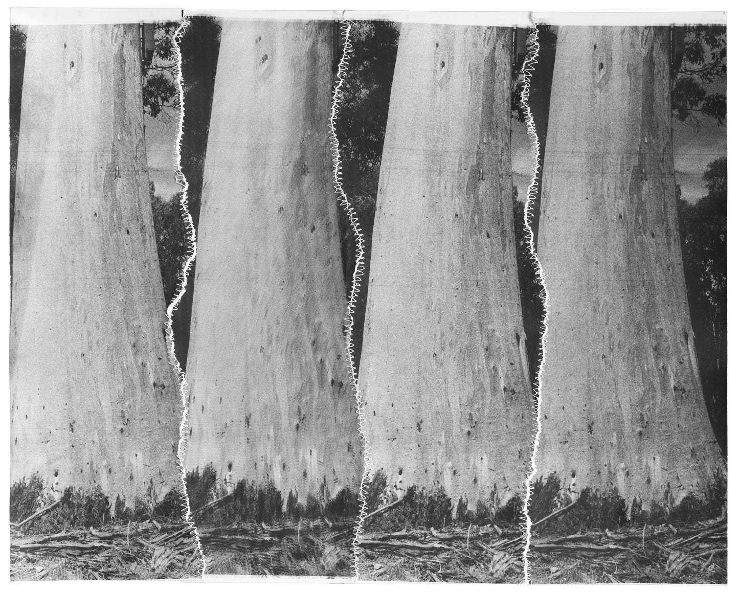 Asher Milgate - SHAPING IT AS SEEMED BEST TO HIM