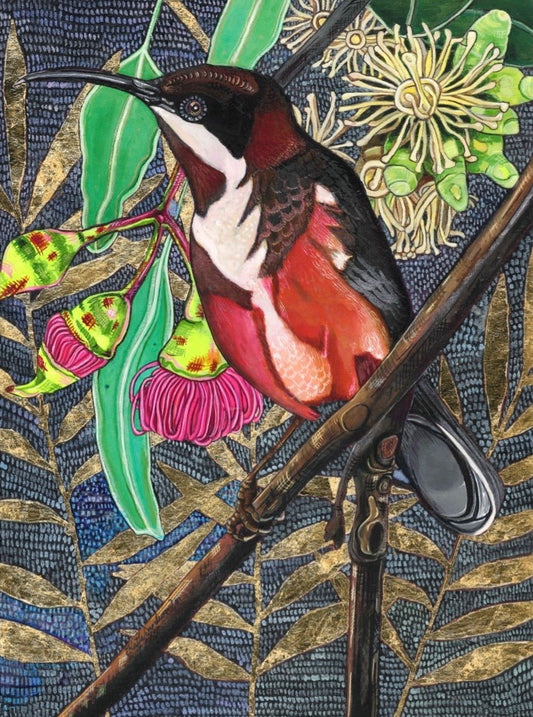 Mr. Spinebill with Eucalyptus Flowers in a Night Sky - A3 Limited Edition Print