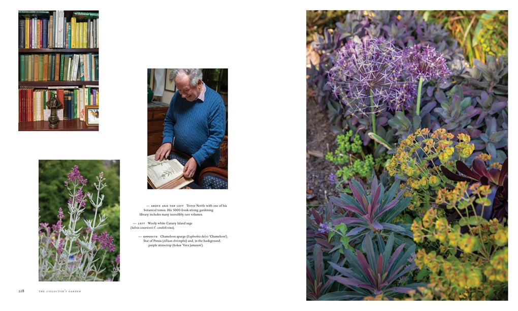 Adelaide Hills Gardens - Book by Christine McCabe