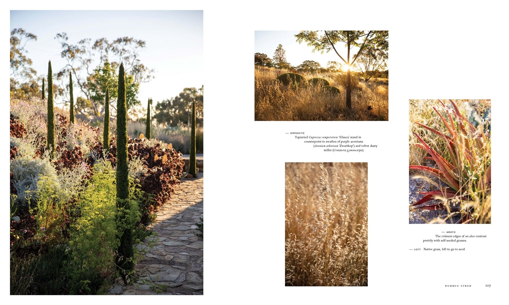 Adelaide Hills Gardens - Book by Christine McCabe