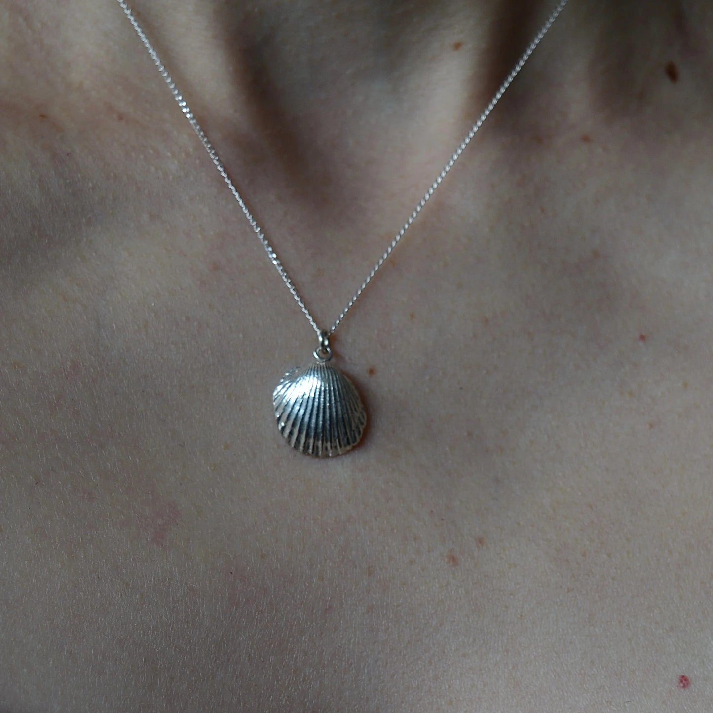 Sterling Silver Shell Necklace