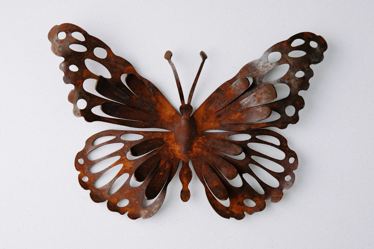 Small Wall Butterfly