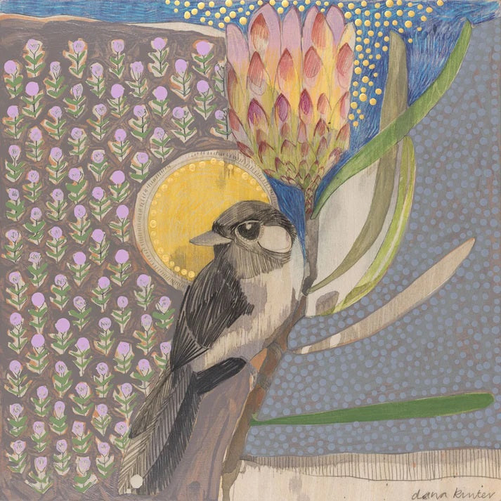 Willie Wagtail & Protea - Mini Print by Dana Kinter