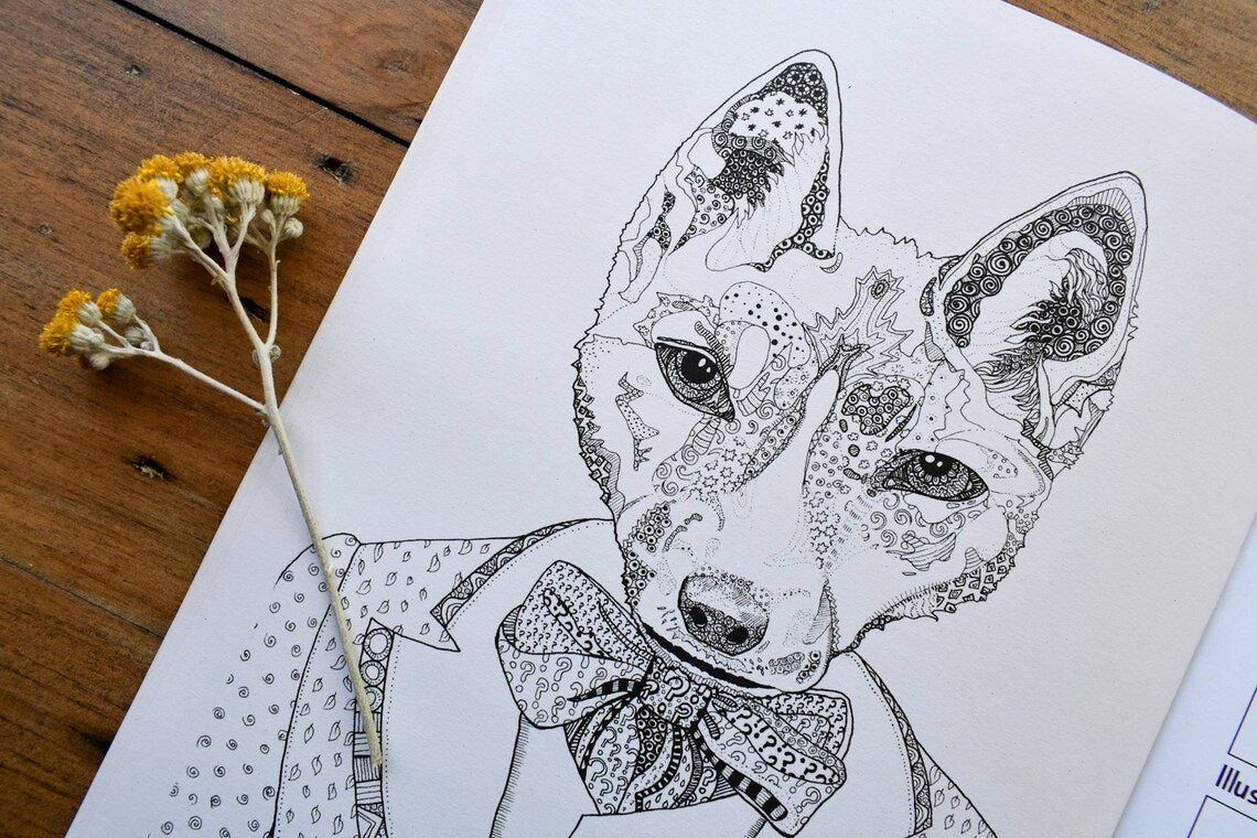 Anthropomorphic Australian Animal Colouring Book
