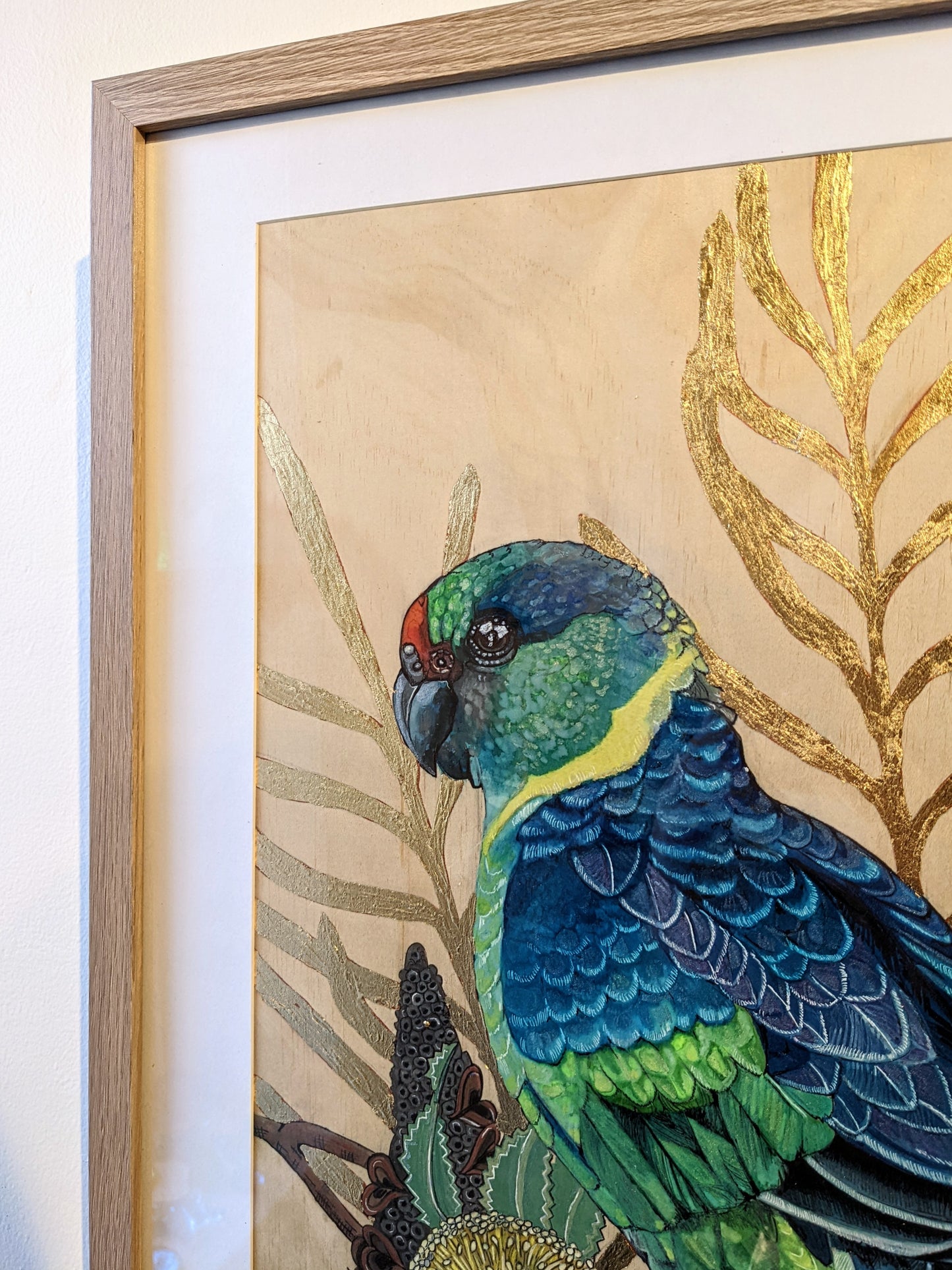 'Mr. Mallee with Banksia Flowers' - Framed Watercolour Painting