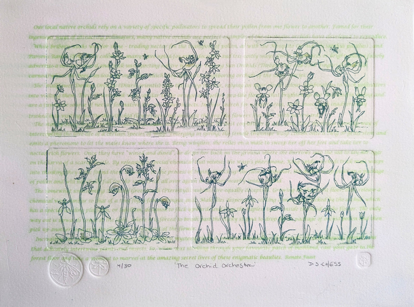 The Orchid Orchestra - Limited Edition Solarplate Etching