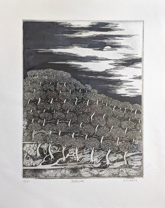 Hillside - Limited Edition Solarplate Etching