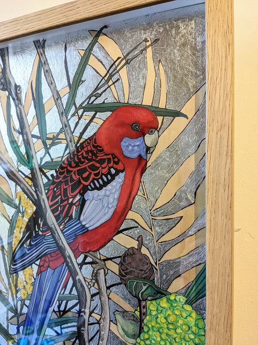 'Mr. Rosella in a Silver Sky' - Framed Watercolour Painting