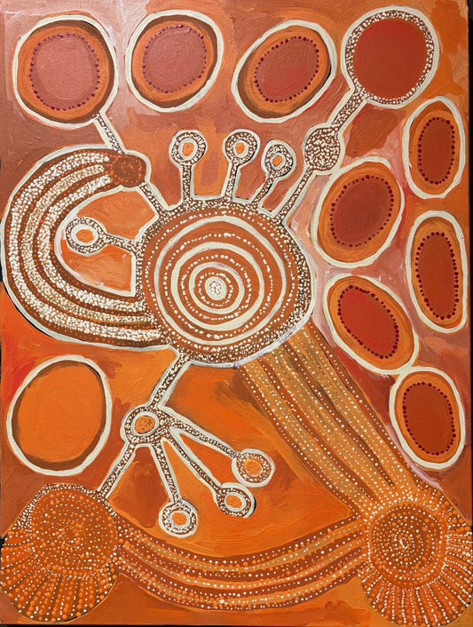 Tjaruwa Dunn, Piltati Tjukurpa 317