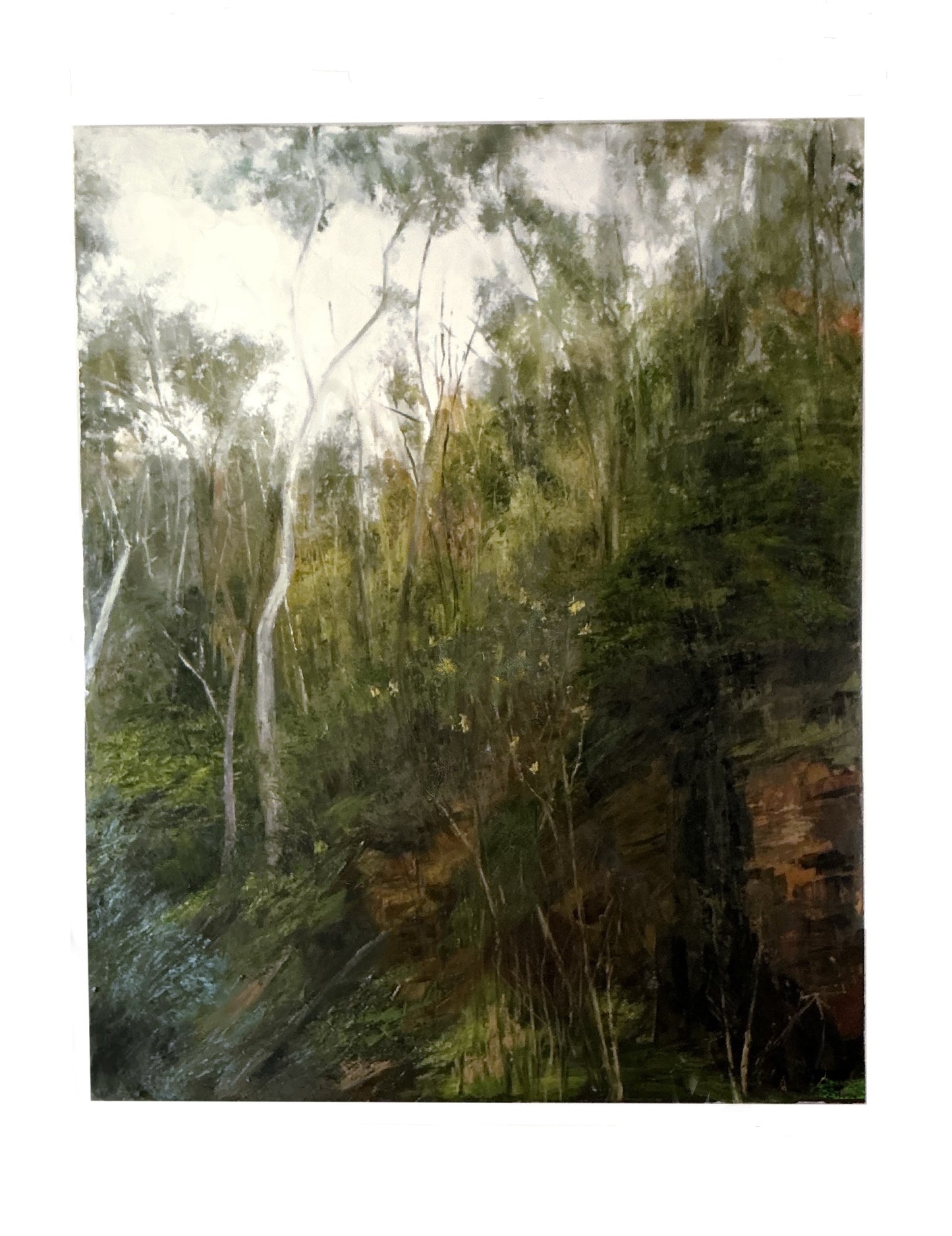 Morialta Conservation Park - Gretta Allen