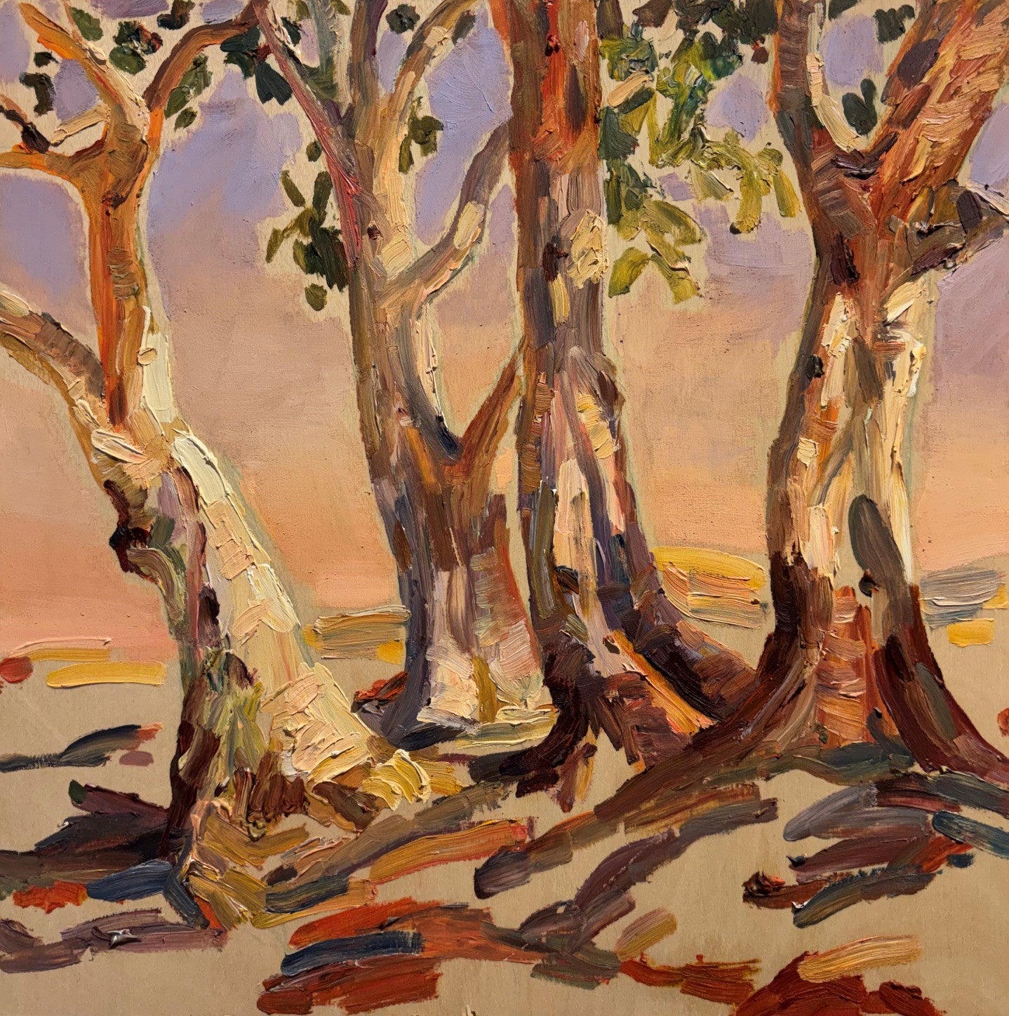 Heysen's Gum - Sophie Hann