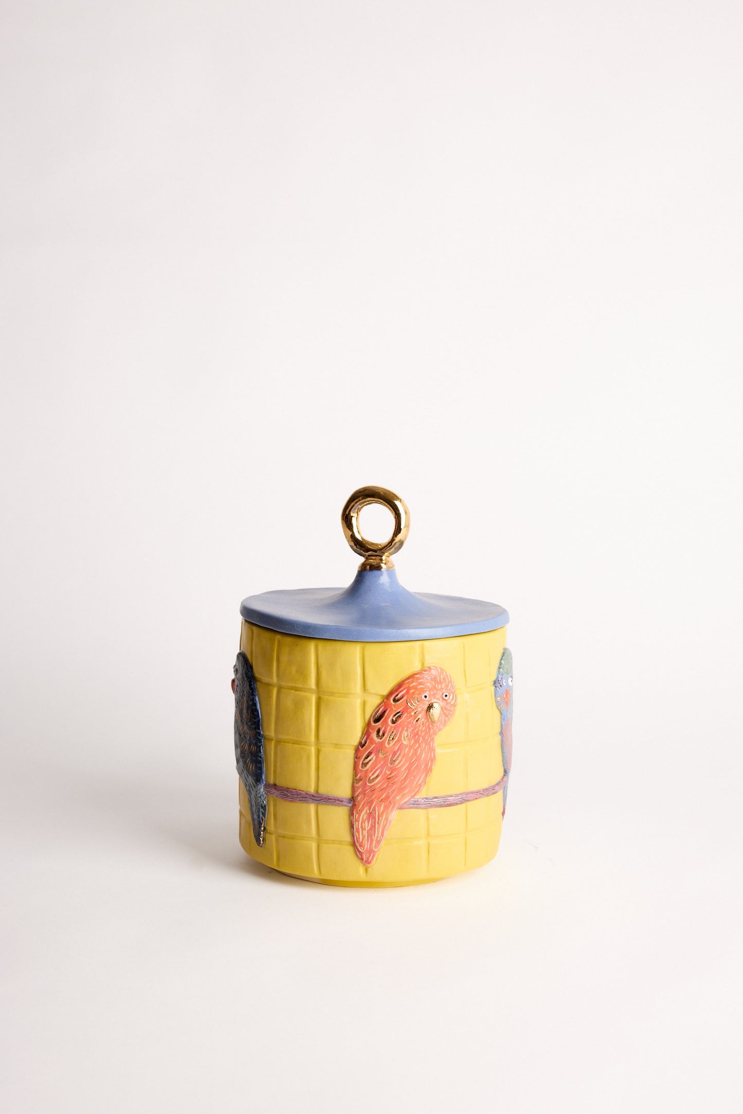BUDGIE cookie jar - Violet Cooper