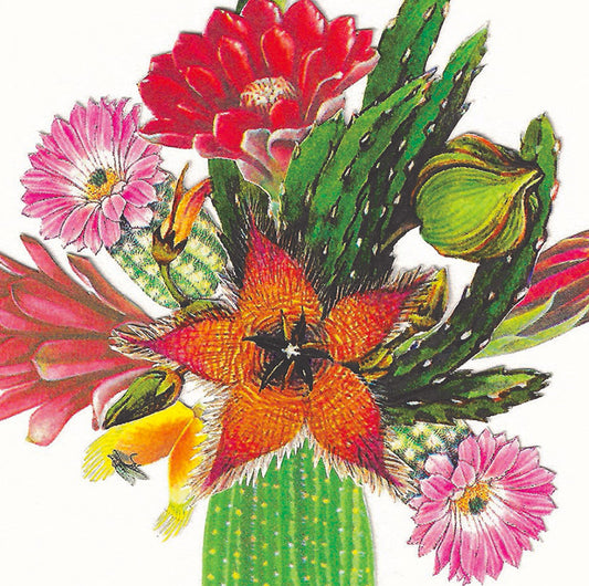 For the love of Botany #4 - Limited Edition A4 Print by Anna Goodhind