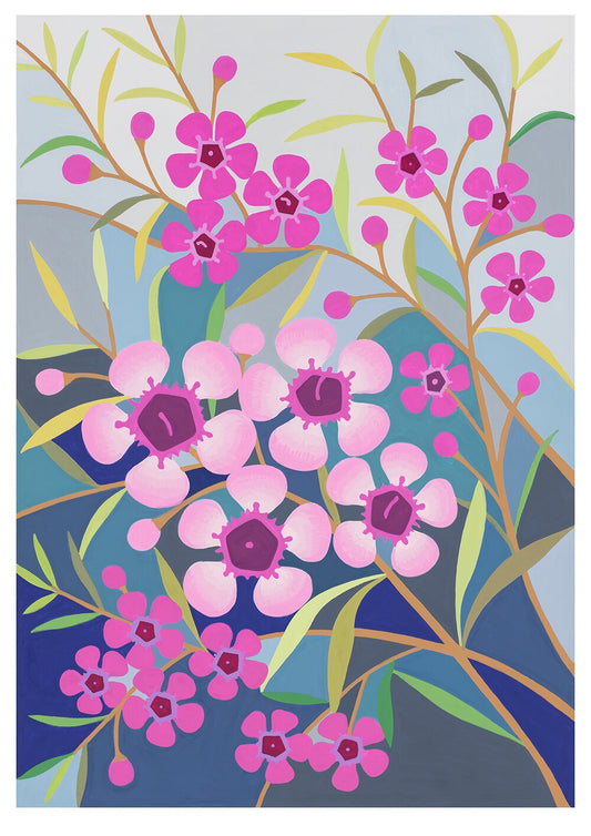 Geraldton Wax Flower - Limited Edition Print