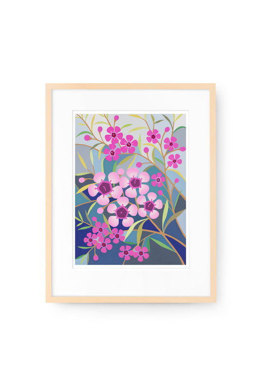 Geraldton Wax Flower - Limited Edition Print