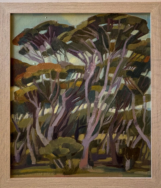 A Little Plein Air from the Gully (Kangaroo Island) - Cecilia Gunnarsson