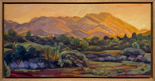 Brachina Evening (Ikara) - Cecilia Gunnarsson