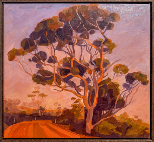 The Road To Cape Borda At Dusk (Kangaroo Island) - Cecilia Gunnarsson