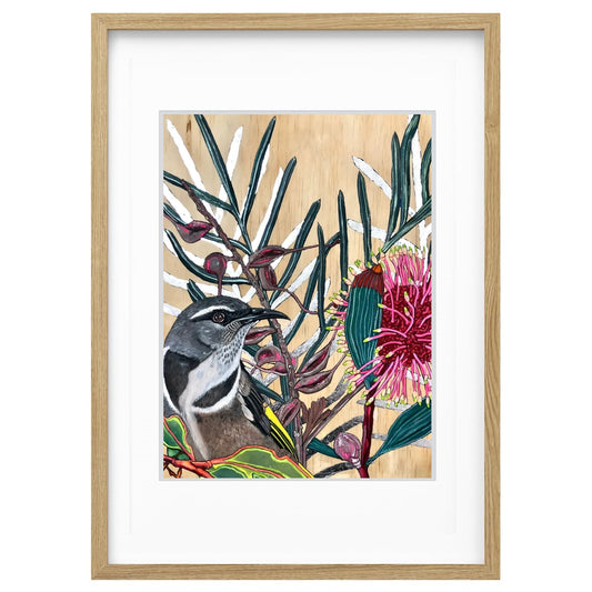 Mr. Honey with Pink Cushion Flower and Silver Leaves - Large A2 Limited Edition Framed Print