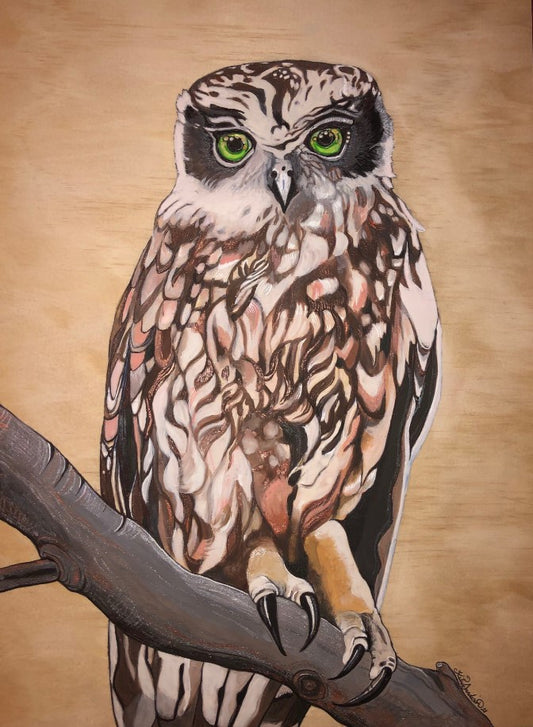 Mr. Boobook - Limited Edition Print