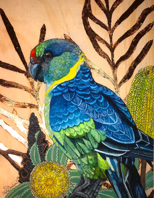 Mr. Mallee with Banksia Flowers and Gold Leaves - A3 Limited Edition Print with Copper Leaf