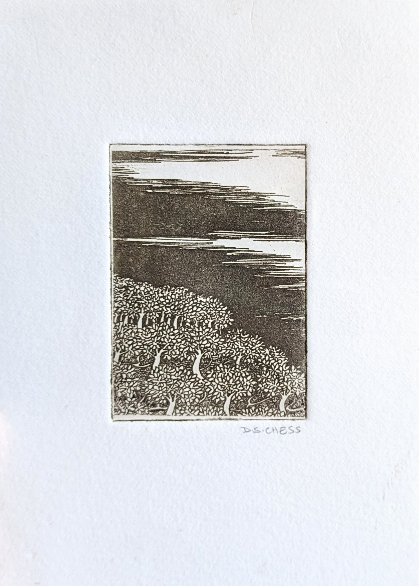 Hillside - Mini Solarplate Etching