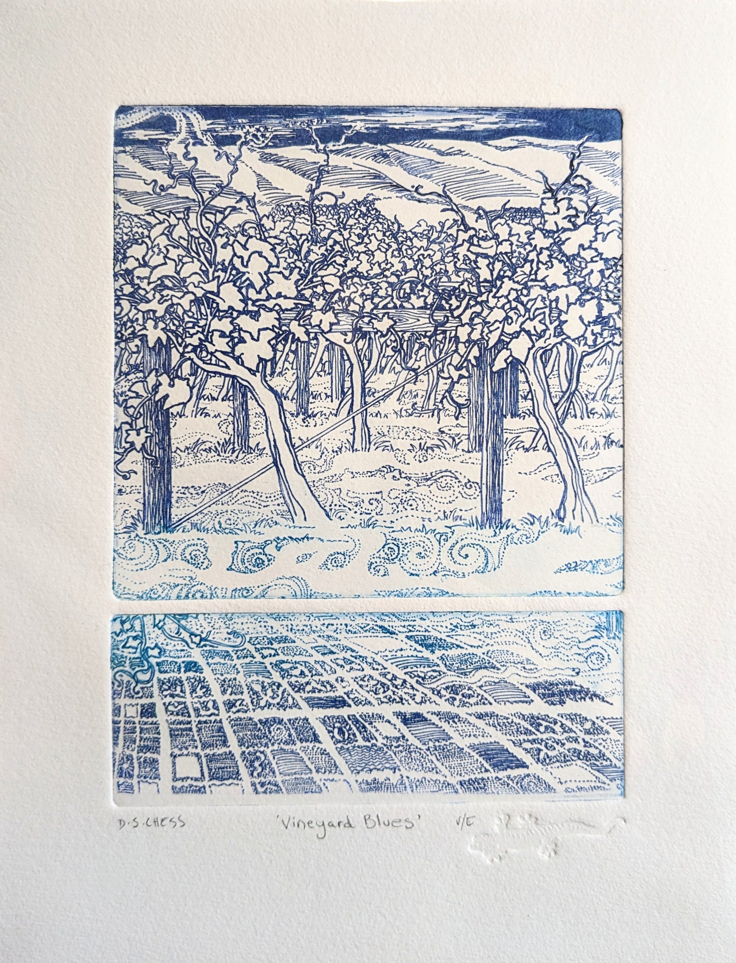 Vineyard Blues - Varied Edition Solarplate Etching