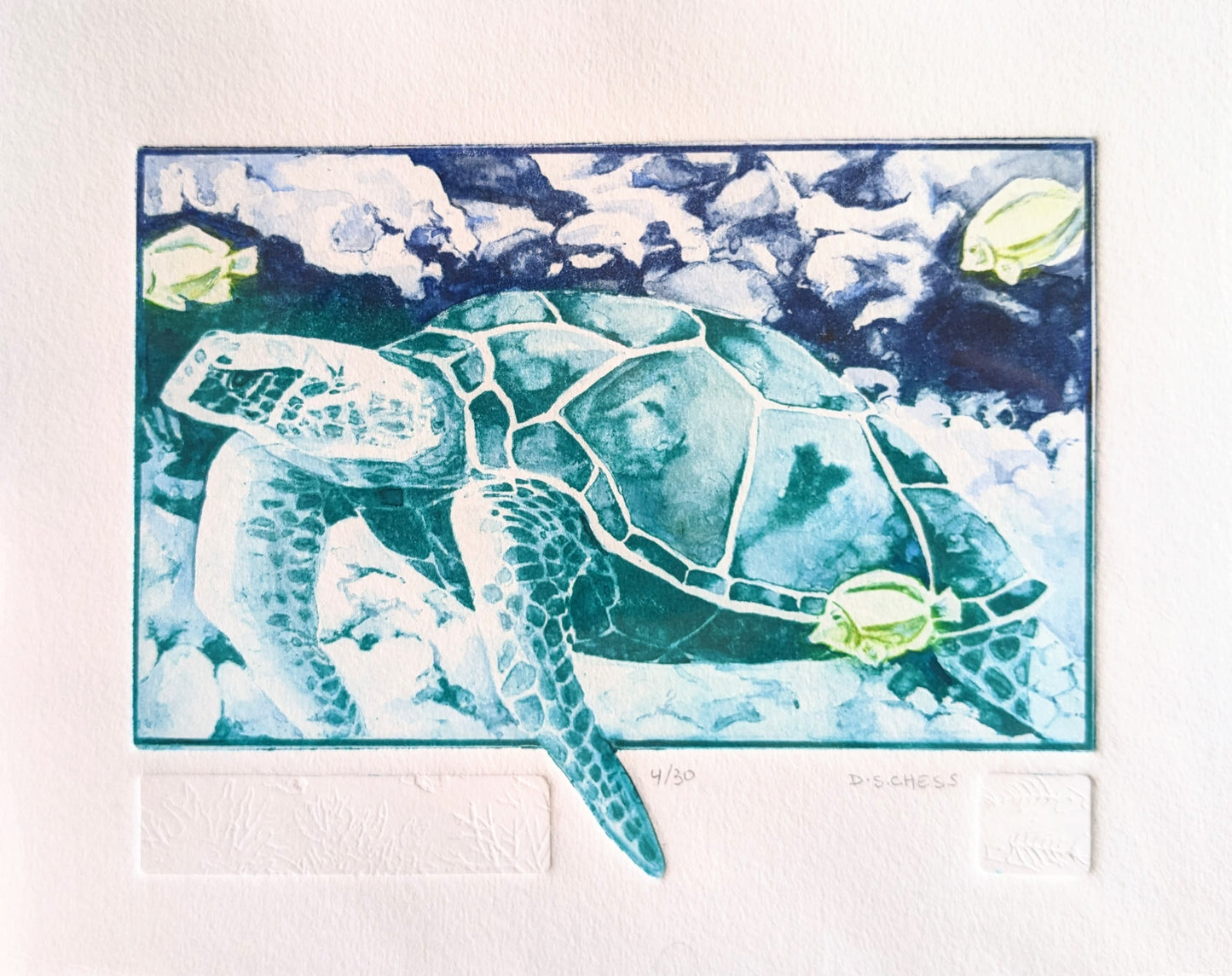 The Turtle - Limited Edition Solarplate Etching