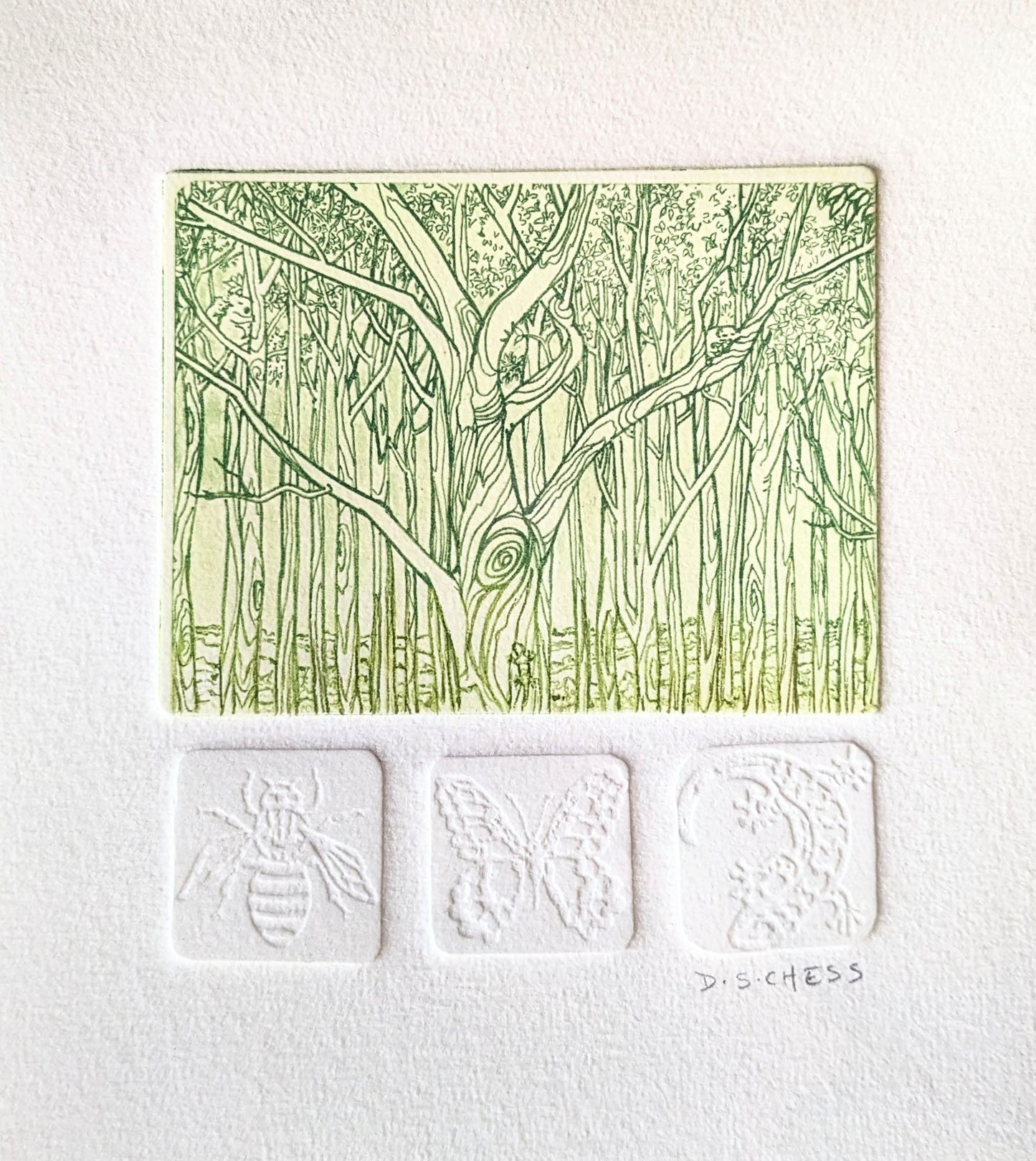 Tree Poetry - Solarplate Etching and Embossing by Donna Chess.