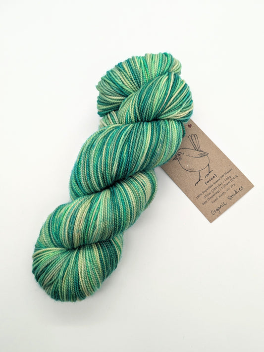 WREN - Hand Dyed Sock Yarn - 4ply