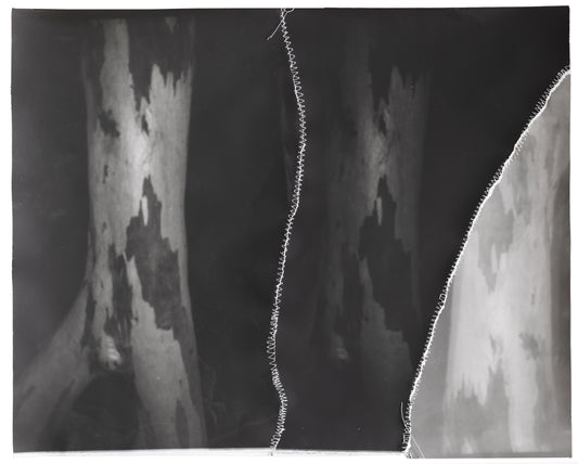 Asher Milgate - THE SPIRIT IS GIVEN TO EACH ONE FOR THE PROFIT OF ALL.