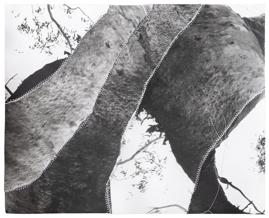 Asher Milgate - THE SPIRIT IS GIVEN TO EACH ONE FOR THE PROFIT OF ALL II